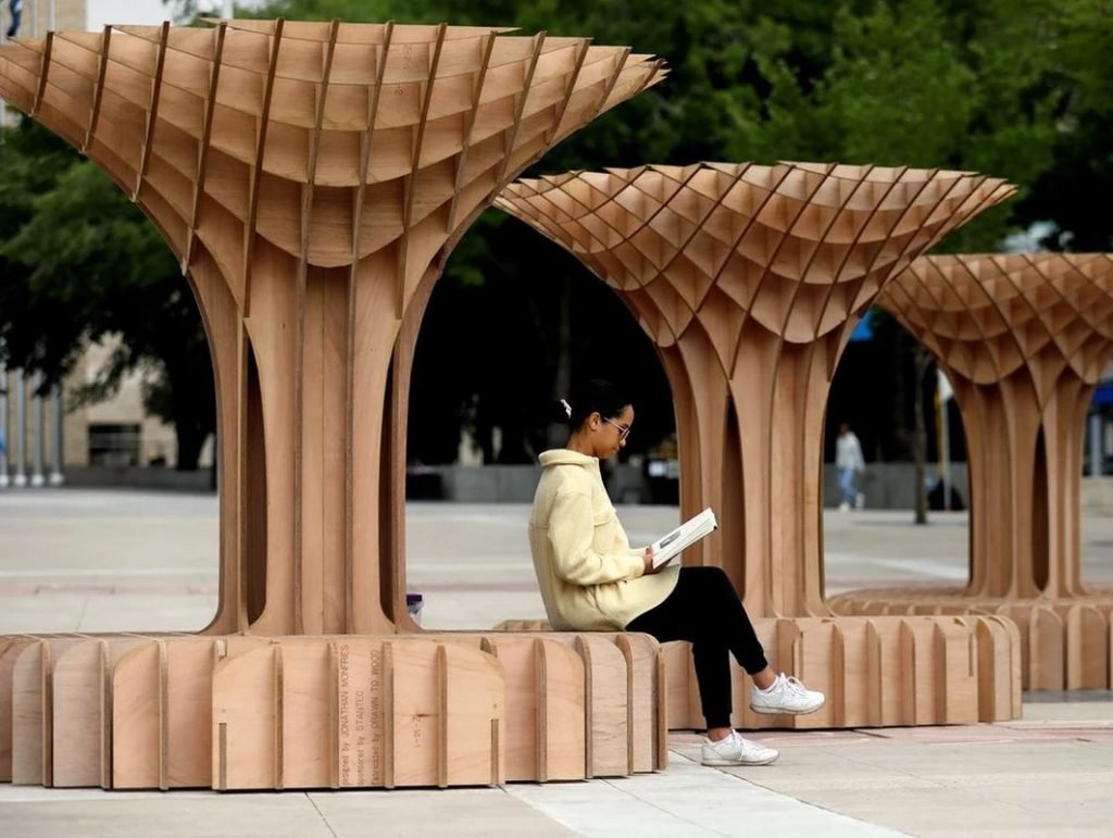 Canopy artwork unveiled in Edmonton