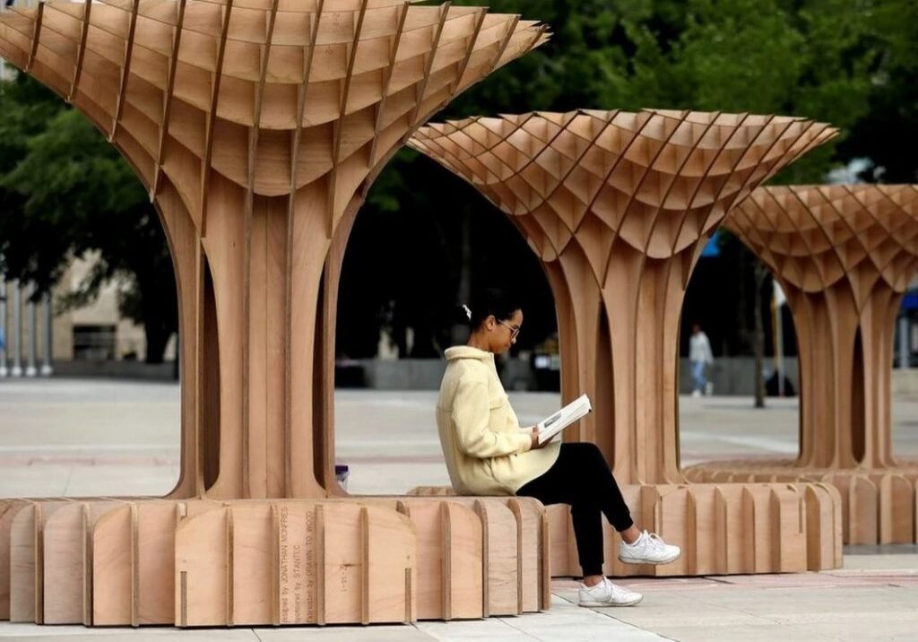Canopy artwork unveiled in Edmonton